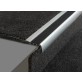 AA 119 (trapneusprofiel met antislip-strip)